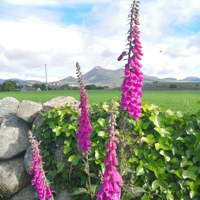 gaby_cairns's profile picture. 