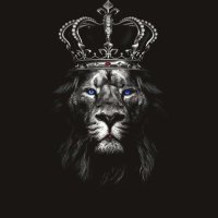 ﮼نايف ✪ (@n_8500) 's Twitter Profile