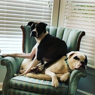 nextfarmlove's profile picture. 