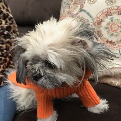 Samanth06028227's profile picture. 