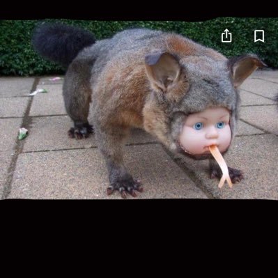 Gabbie_k11's profile picture. 