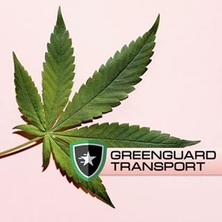 GreenguardT's profile picture. Secure Transport Michigan