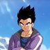 Son Gohan (@PGohanson) Twitter profile photo