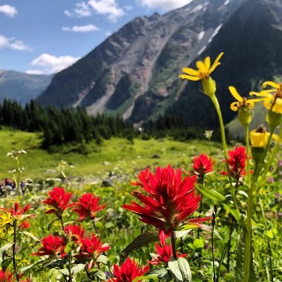 BC’s Most Affordable Real Estate - GET BACK TO NATURE ONE WEEKEND AT A TIME! Unique Property less than 2hours away from Vancouver. BOOK A TOUR!