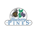 Blueberry Pines (@bbpgolf) 's Twitter Profile