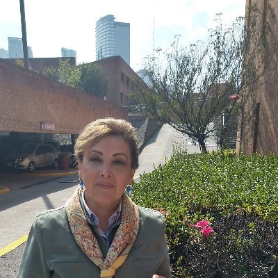 Profesora Universitaria en el Área de Legislación y Políticas Públicas. Respecto a tweets NO representan a ninguna opinión o instancia oficial son Informativos.