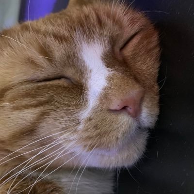 _brad_evans's profile picture. JS/React developer focused on finance.