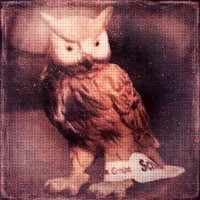 水口浩次 (@mizu_gucci) 's Twitter Profile