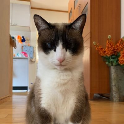家族の在宅介護してます!自身も幾つかのガン経験あり!どんな時も変わらず優しく楽しく介護するためのLIVE参戦!!SiM HEY-SMITH SHANK coldrain 10-FEET SHIMA THE FOREVER YOUNG 邦楽ロック大好きです。【9/21 9/23分配】