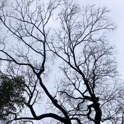 ljrzly9527's profile picture. 