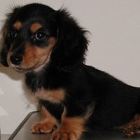 ojiki.com (@comojiki) 's Twitter Profile Photo