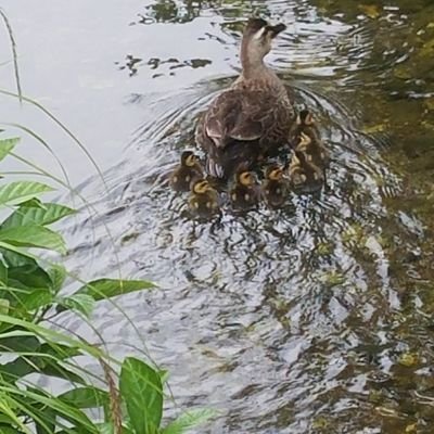 IHt2jy8FecVImcE's profile picture. 腐,NL関係なし。NOT夢女子。推しの結婚は心から祝えるオタクでありたい。一応🚺
あんスタ(レオ君,二枚看板,ヴァル,流星隊)/ヒロアカ(相澤消太,ホークス,エンデヴァー)/ヒプマ(TDD)
浅沼晋太郎/

増田俊樹/細貝圭/梅原裕一郎/帆世雄一高橋広樹 キンキ/嵐/v6 

推しを語れるお友達が欲しい(切実)