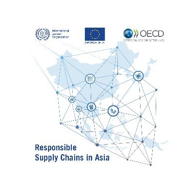 Promoting responsible business practices in #supplychains. A unique collaboration of the @EU_Commission, @ILO and @OECD.