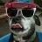 marbleheadjohnson (@scatmuncher) Twitter profile photo