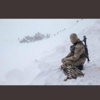 Polat Bahceci (@bahcecipolat) Twitter profile photo