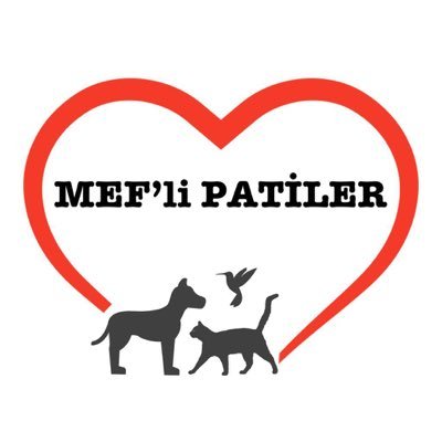 MEF Üniversitesi MEF’li Patiler Kulübü 🐾 İletişim için meflipatiler@clubs.mef.edu.tr