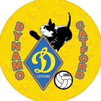Dynamo Catford FC(@DynamoCatfordFC) 's Twitter Profileg