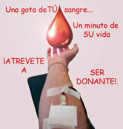 DRTagle's profile picture. Medico Director del Centro de Sangre del Maule