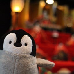 mrk_csus11's profile picture. 