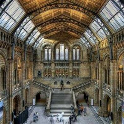 commerce208's profile picture. 