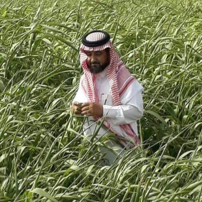 استاذ مساعد في قسم اللغة العربية جامعة أم القرى فرع القنفذة.مهتم بمناهج البحث اللغوي واللسانيات المعاصرة مؤلف كتاب اتجاهات تجديد النحو عند المحدثين دراسة وتقوي