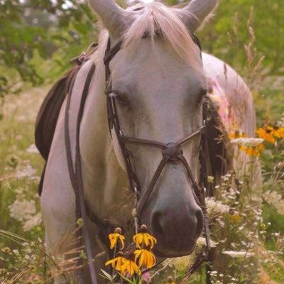 _fa88_'s profile picture. لا اله الا الله محمداً رسول الله.