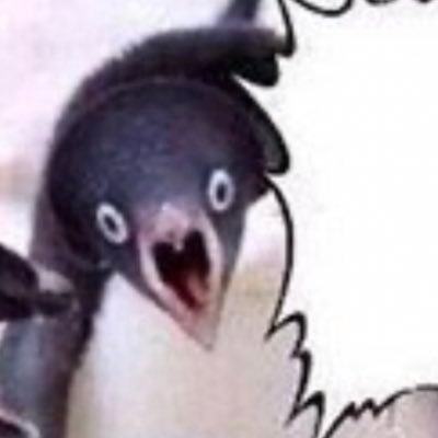 叫ぶペンギン"輝月"さんのプロフィール画像