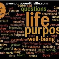 Live life with Purpose(@AliLacewala1) 's Twitter Profile Photo