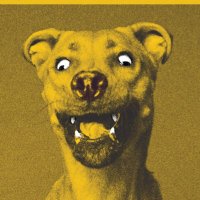 War Baby (@warbabyband) 's Twitter Profile