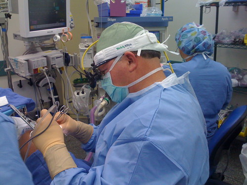 I am a retired Otolaryngologist which is better known an ENT. I am also a big fan of Tesla and SpaceX and a general aviation enthusiast.
