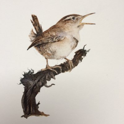 JohnEvajohn59's profile picture. Independent Literacy Consultant.