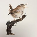 Eva John💙 - @JohnEvajohn59 - Twitter