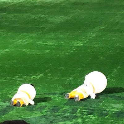 TARO_3577951485's profile picture. 