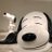ぽちゃこ(あつ森発展途上)のアイコン