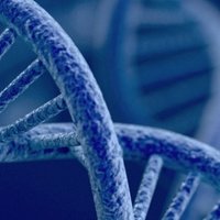 Department of Clinical Genetics Rigshospitalet (@drigshospitalet) 's Twitter Profile