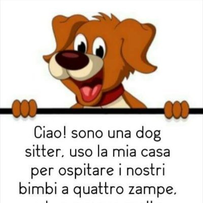 Pensione domestica per bimbi a quattro zampe🐕💞 Napoli. Prezzo 5 euro al giorno.🌺🌳🐕🥎🏠