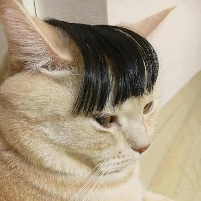 kanashime_'s profile picture. 0°C