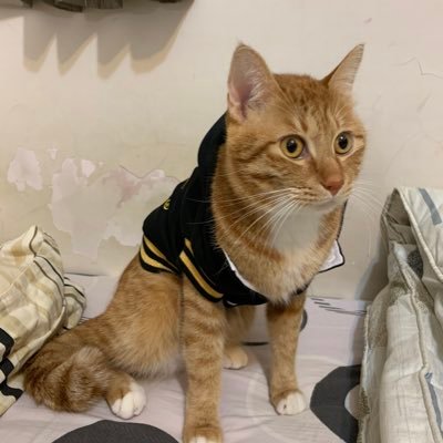 Davidli66620762's profile picture. Taiwan No.1