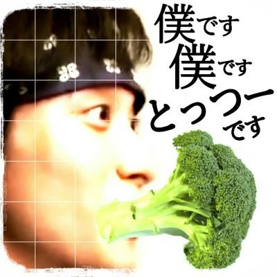 ふぉゆ戸塚田世代の地方民
よこ💋戸塚🐬たちゅみ🐲聡くん🐴めめ🦀なにわ上2人🍮⚾Aぇ!誠也くん&佐野くん👸推しが多くてなかなか忙しいです！！