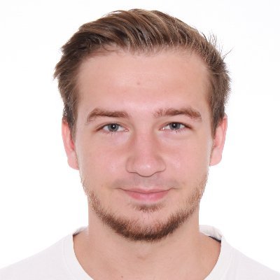 Software developer