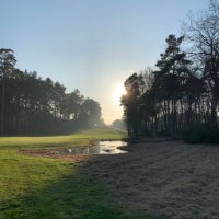 Wellington Golf (@welly_golf) 's Twitter Profile