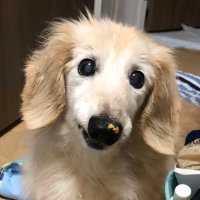へびさ@ (@typebnegative) 's Twitter Profile