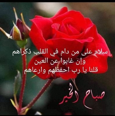 احترام الرأي الاخر
