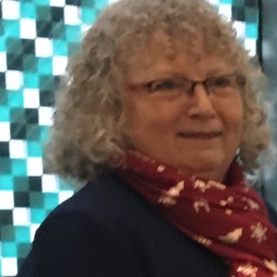 Graig &Pontypridd West Cllr.cabinet member for Climate change and corporate estates chair Trehopcyn govs. all views are my own. Christina.leyshon@rctcbc.gov.uk