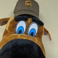 QuincySafety (@quincysafety) 's Twitter Profile