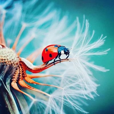 Plavicuperak10's profile picture. 