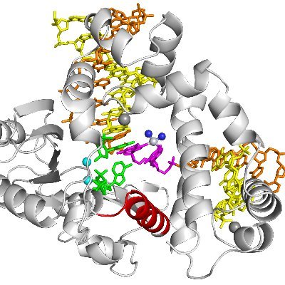 Lee Lab Profile