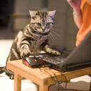 Joan Hurley - @Ipoetess - Twitter