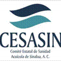 CESASIN (@cesasin) 's Twitter Profile