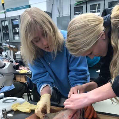 🌱 RA @Umich l @MichiganStateFW alum l behavioral ecology, hwc, & conservation social science 🏳️🌈 she/her I